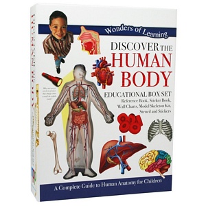 Discover The Human Body | Baker & Taylor